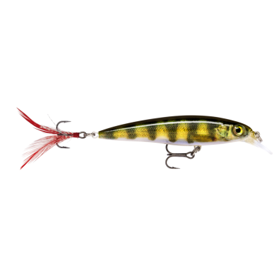 RAPALA X-RAP XR10 10cm PEL