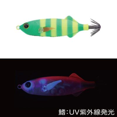GEECRACK AJISUKE 60mm 125 UV STRIPED GREEN CHART