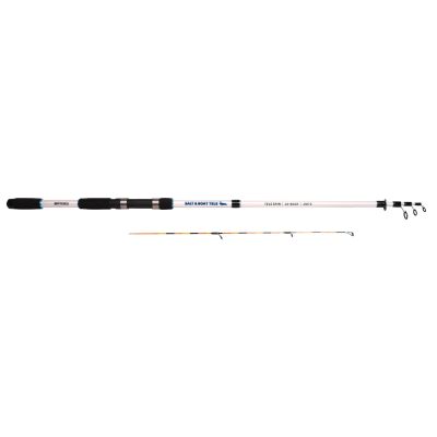 SPRO SALT & BOAT TELE 2.10mt/20-80gr