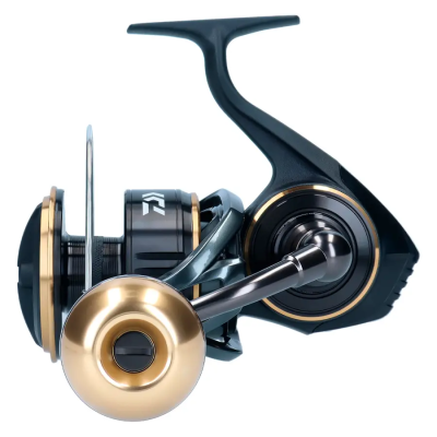 DAIWA BG MQ ARK 6000DH