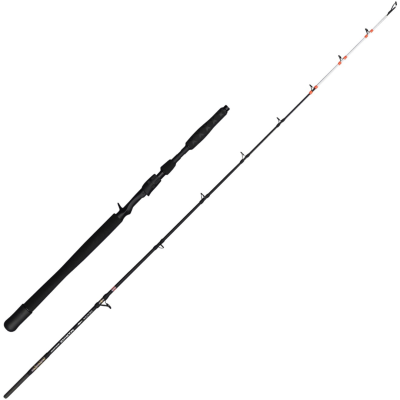 PENN MARINE BRIGADE DENTEX 1.90mt 50-150g