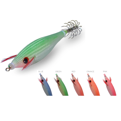 DTD COLOR GLAVOČ 3.0