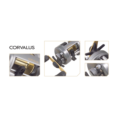 CORVALUS 401