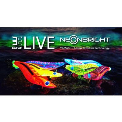 YAMASHITA EGI-OH LIVE NEON BRIGHT 3.0