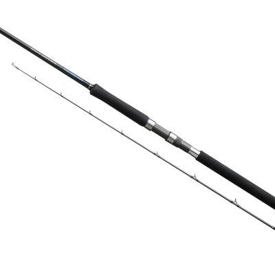 SHIMANO SALTY ADVANCE SPINNING SHORE JIG 3.05mt 80gr