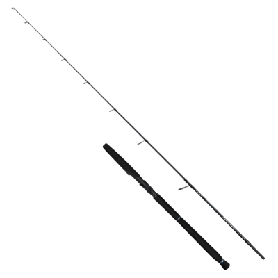 SAVAGE GEAR DEFIANCE SG2 JIGGING 1.80mt 180gr