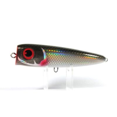 FCLLABO: SPP75
