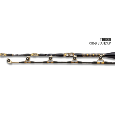 TIAGRA XTR-B STAND UP