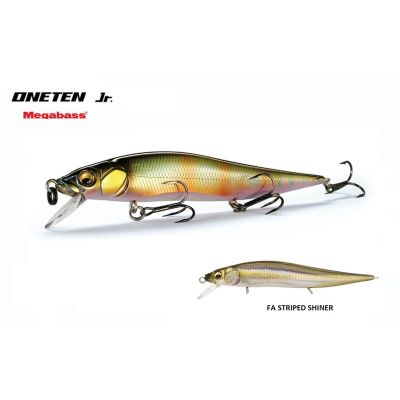 MEGABASS VISION JUNIOR (SP-C) FA STRIPED SHINER  