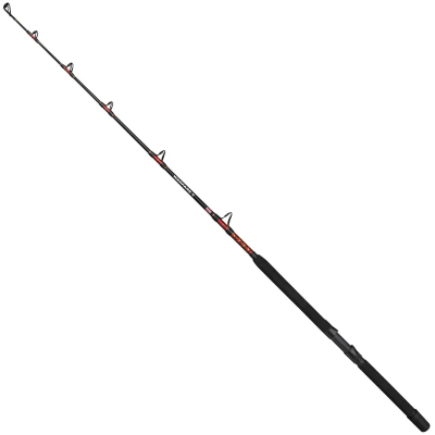 PENN WARFARE II TROLLING 1.70mt 30-50lb 